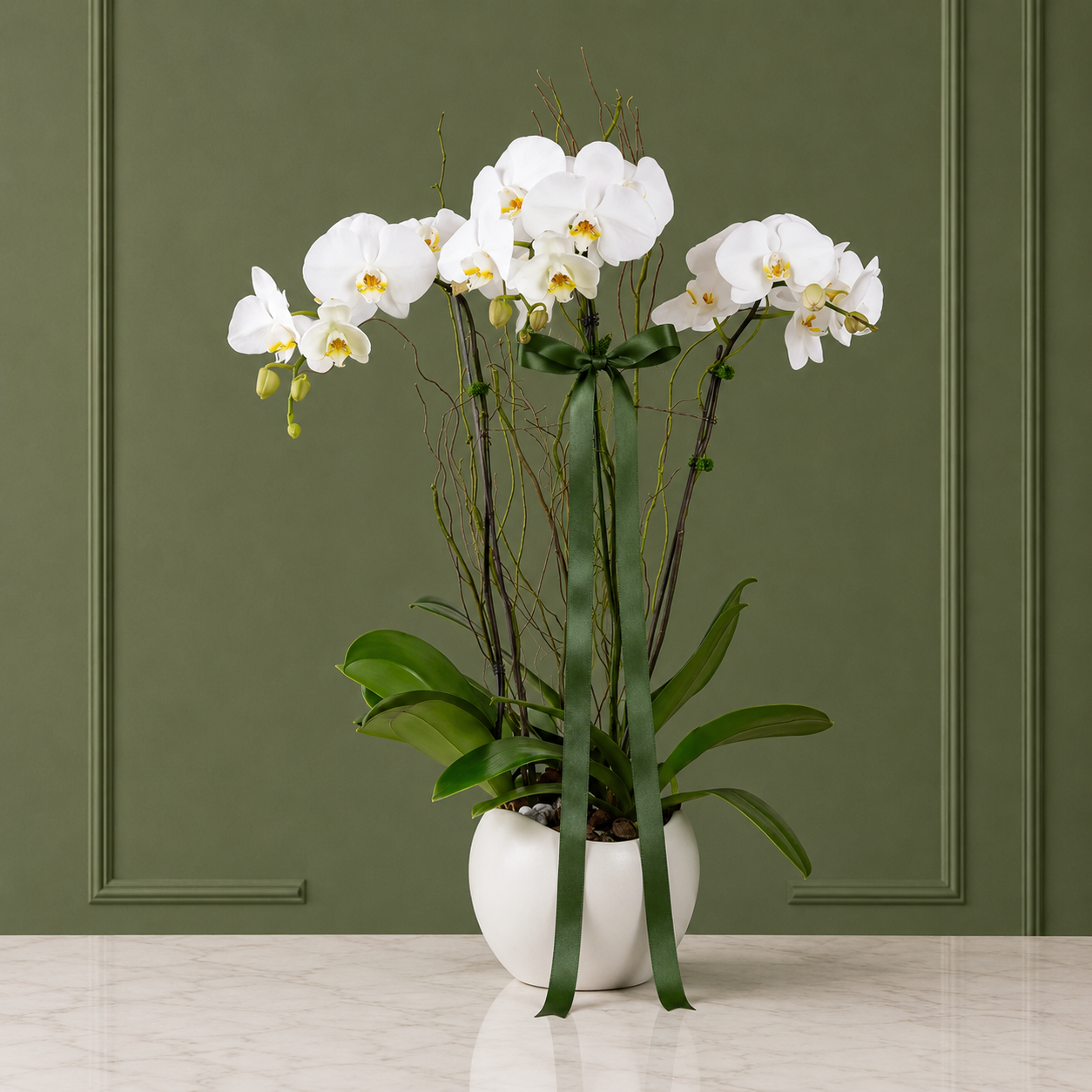 Plantas en maceta y orquídeas